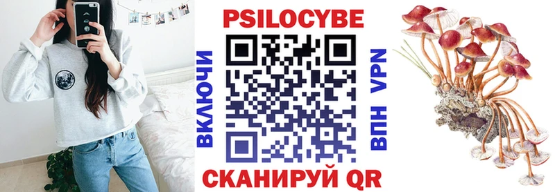 Галлюциногенные грибы Cubensis  omg   Менделеевск 