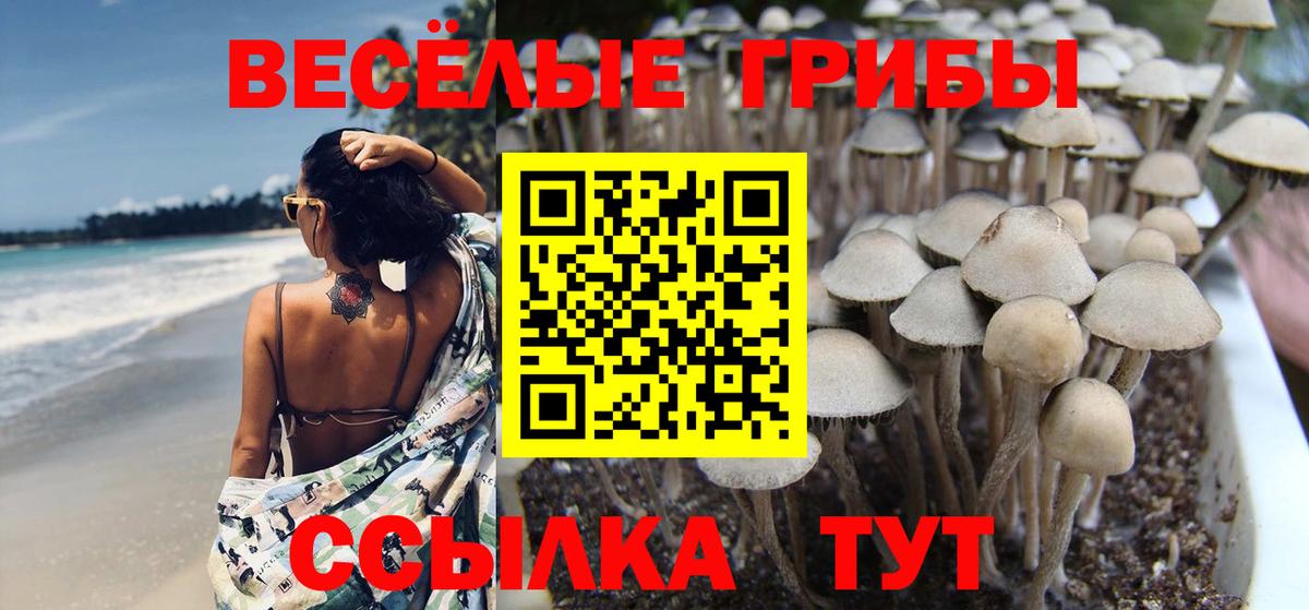 Псилоцибиновые грибы мухоморы Менделеевск